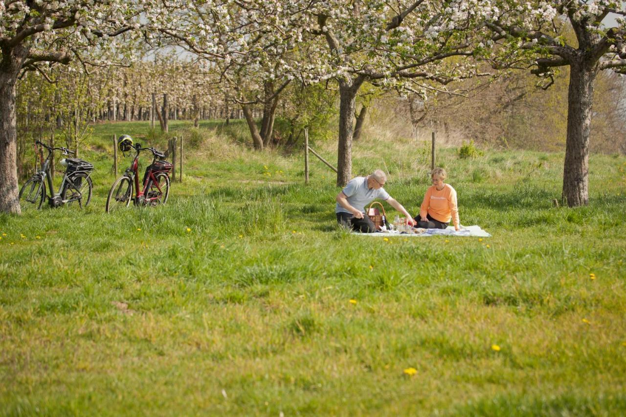 B&B De Kersentuin Borgloon Eksteriør billede